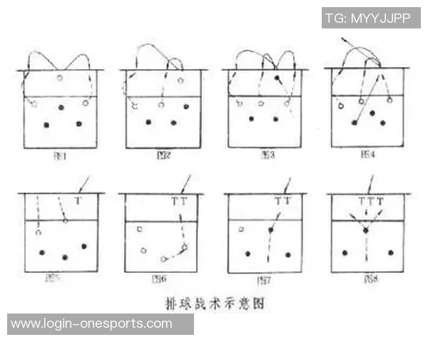 武汉排球队中路突破战术体系的创新与应用研究