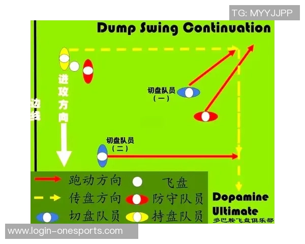 运动数据南京飞盘队灵活性分析战术调整与运动员表现的深度探讨